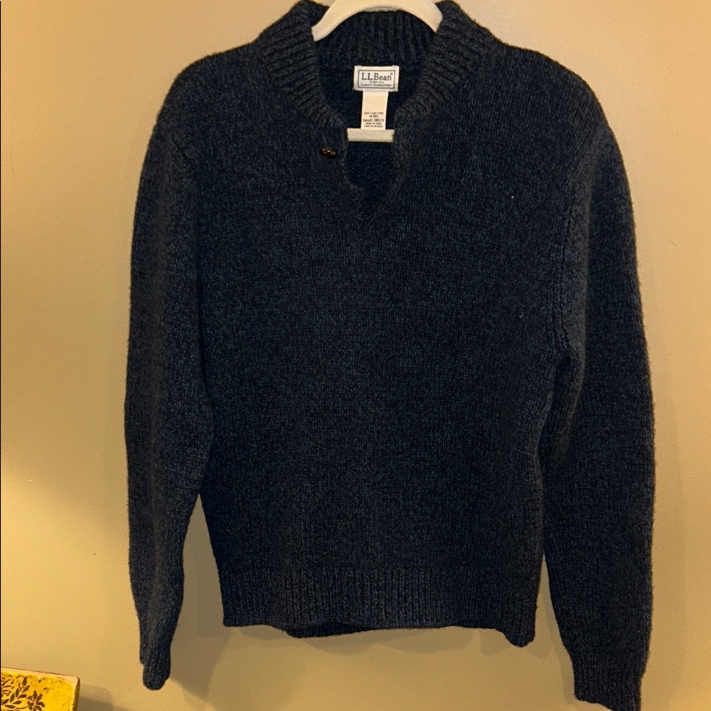 L.L. Bean Men's Dark Navy V-Neck Wool Pullover